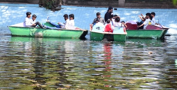 जू में उमड़ी दर्शकों की भीड़