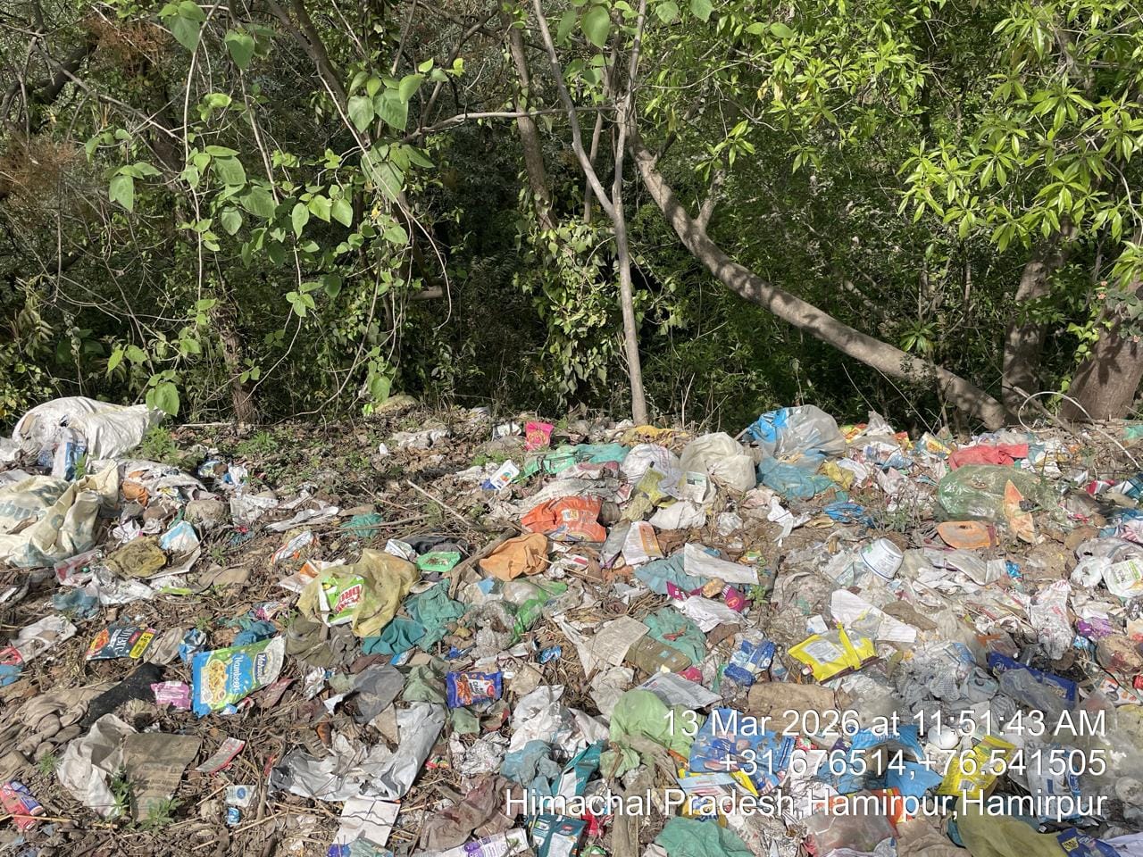 जमली खड्ड में फेंका गया कचरा। संवाद।