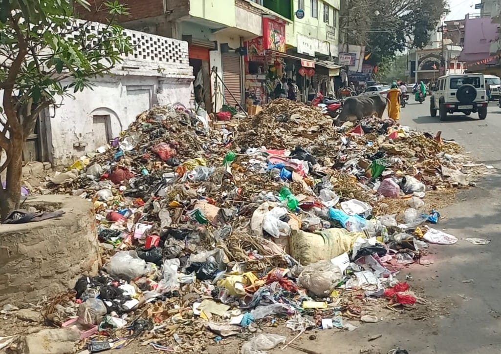 नगर के प्रोफेसर कालोनी में खाली प्लाट में फेंका गया कूड़ा।संवाद