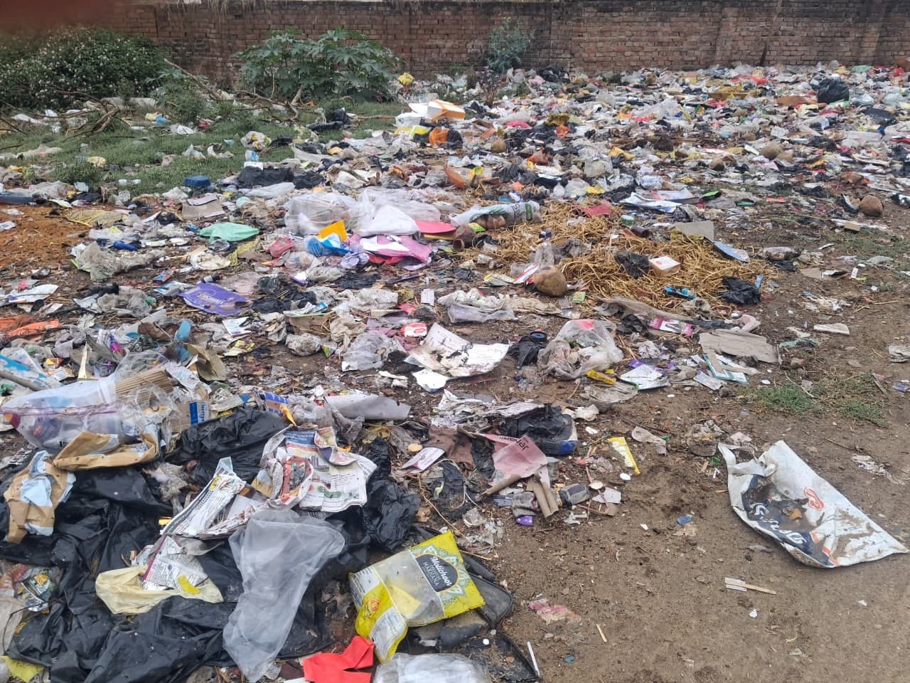 नगर के प्रोफेसर कालोनी में खाली प्लाट में फेंका गया कूड़ा।संवाद