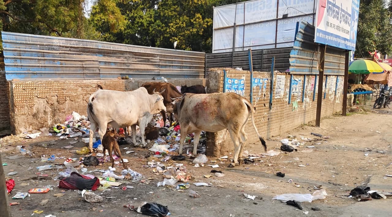 टैक्सी स्टैंड वाले मार्ग पर सड़क तक फैला कूड़ा। संवाद