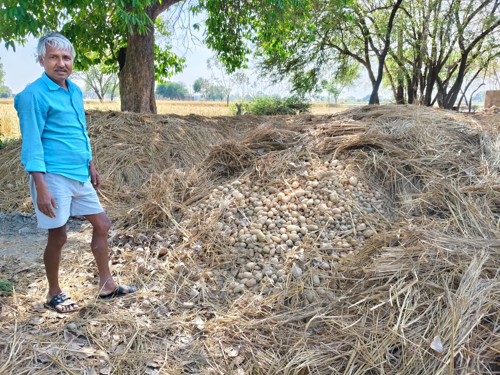 विजय सिंह, किसान विजय सिंह, किसान