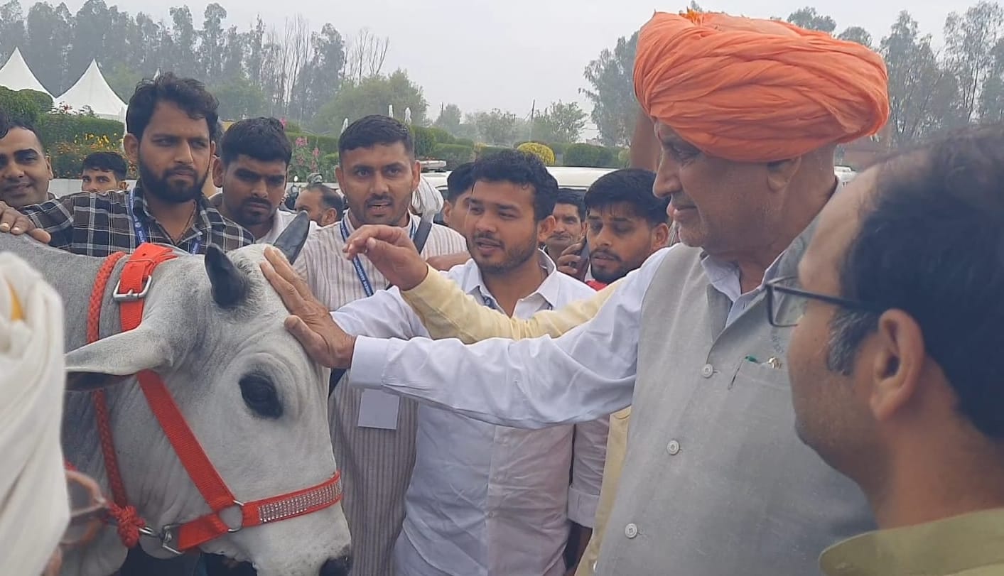 02-वेटरनरी कॉलेज बहुअकबरपुर में कैटल शो के दौरान दोनों पैर झुकाकर अभिवादन करती गौरी गाय। संवाद