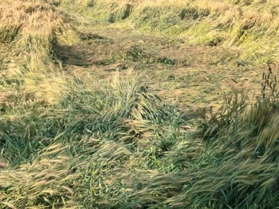 41-रोहतक में सोमवार को हुई बारिश के बाद प्रेम नगर मोड़ पर भरा बारिश का पानी। संवाद