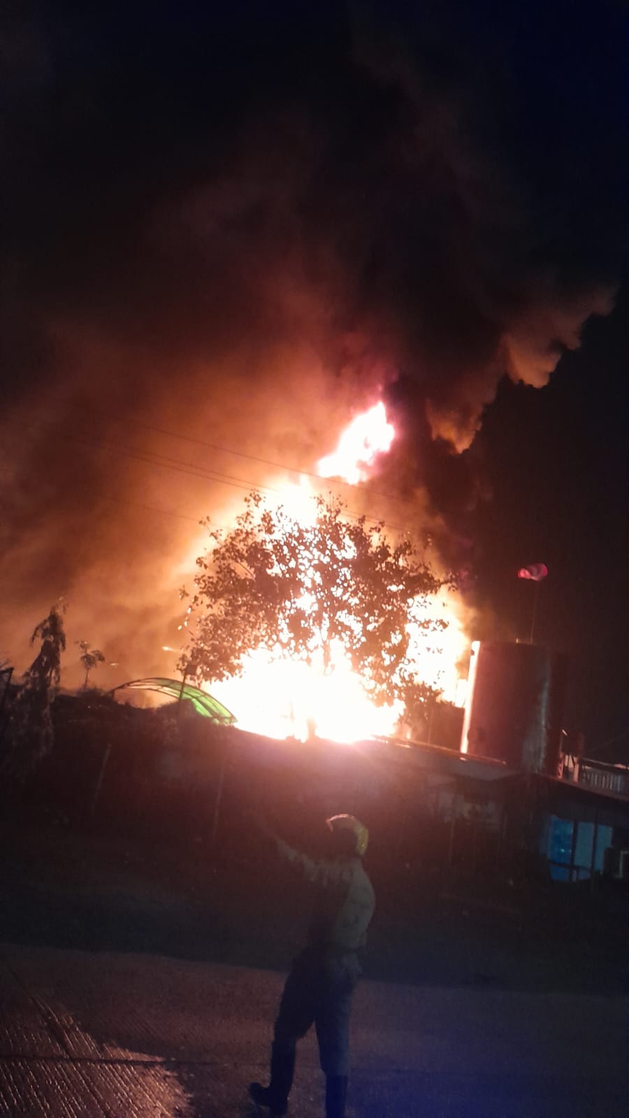 आग की लपटे