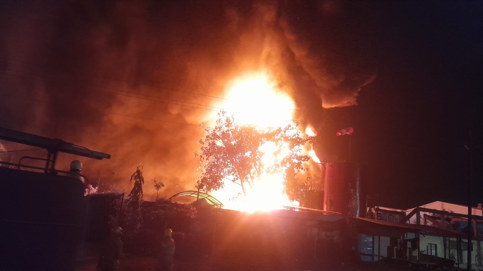 आग की लपटे