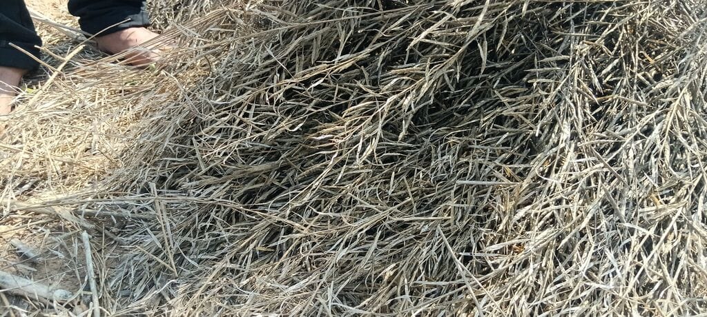 फोटो संख्या:60- रतिराम फोटो संख्या:60- रतिराम