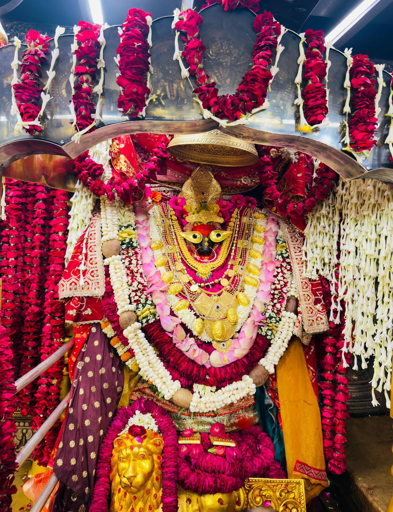 विंध्याचल वी-वीआईपी मार्ग पर मंगलवार को श्रद्धालुओं से पटा रहा फोटो, संवाद विंध्याचल वी-वीआईपी मार्ग पर मंगलवार को श्रद्धालुओं से पटा रहा फोटो, संवाद
