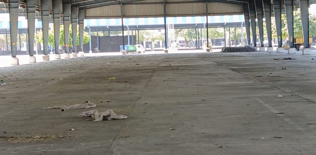 11-मंडी में आई सरसों को फैलाते किसान व मजदूर। संवाद 11-मंडी में आई सरसों को फैलाते किसान व मजदूर। संवाद