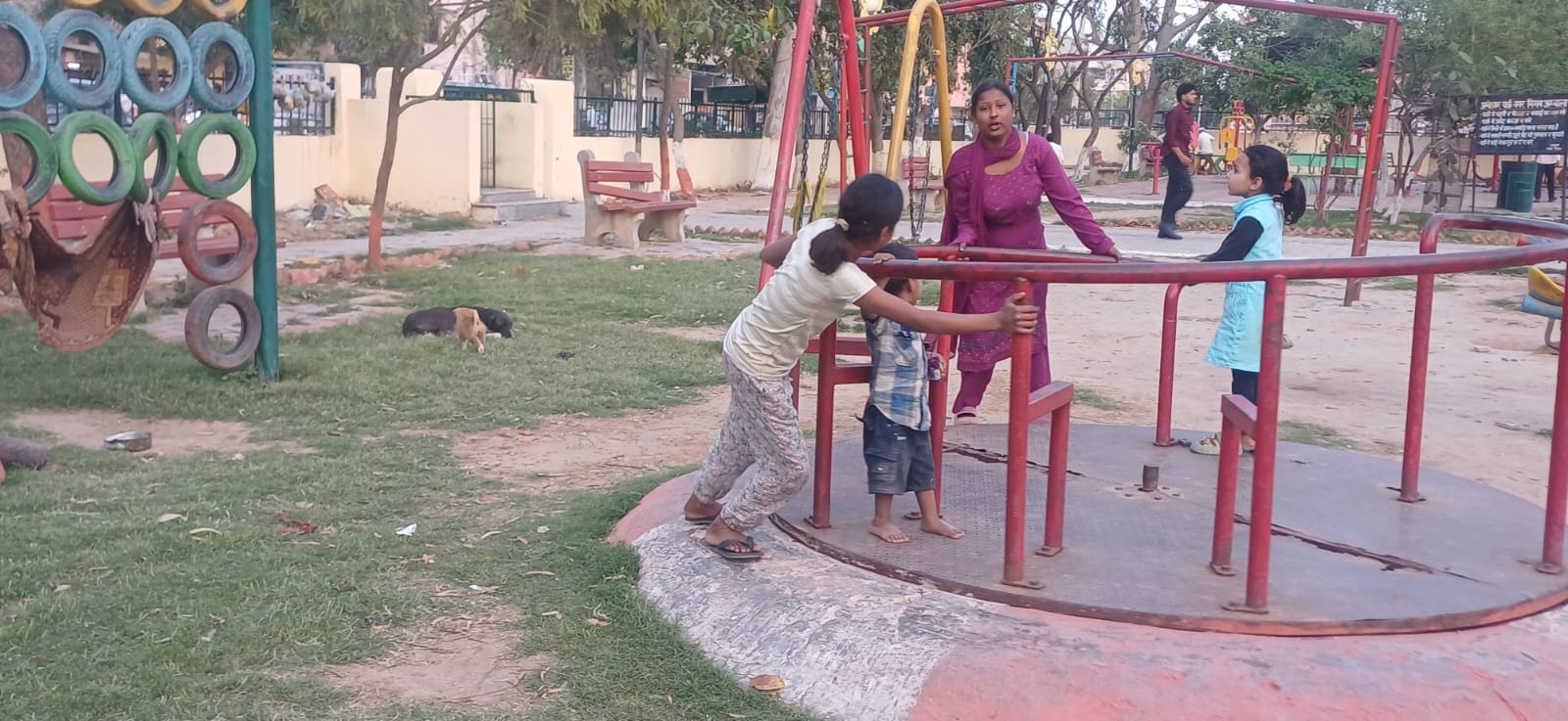 अंबाला छावनी के इंदिरा पार्क में बैठे कुत्ते और सैर करते लोग। संवाद अंबाला छावनी के इंदिरा पार्क में बैठे कुत्ते और सैर करते लोग। संवाद