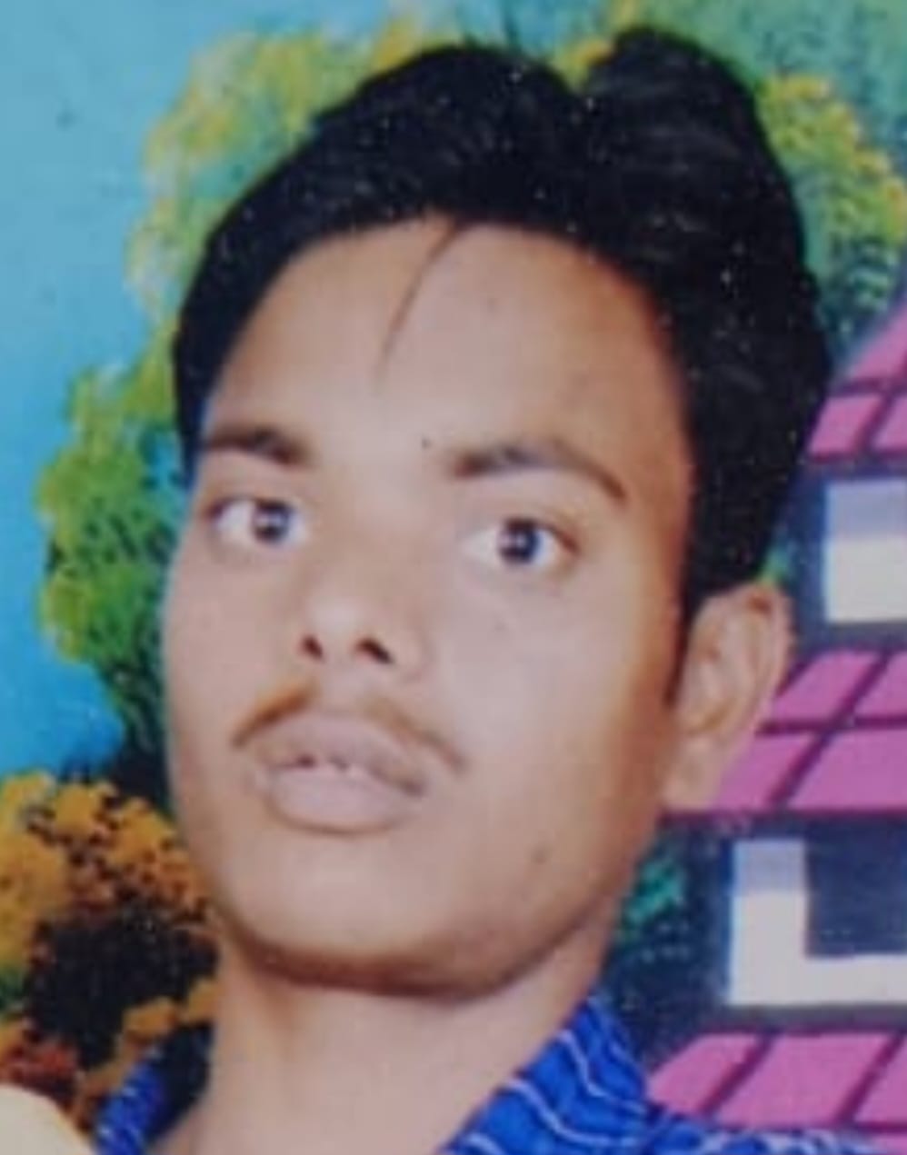 फाेटो-2 घटना स्थल पर जमीन में धंसा खड़ा ट्रैक्टर। संवाद फाेटो-2 घटना स्थल पर जमीन में धंसा खड़ा ट्रैक्टर। संवाद