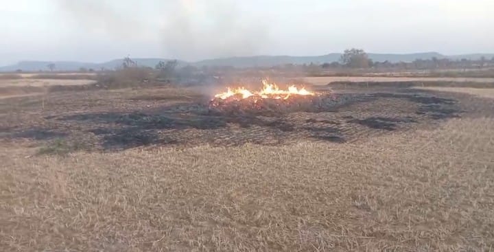 फोटो 26 सीकेटीपी 33 जंगल में धधकती आग। संवाद