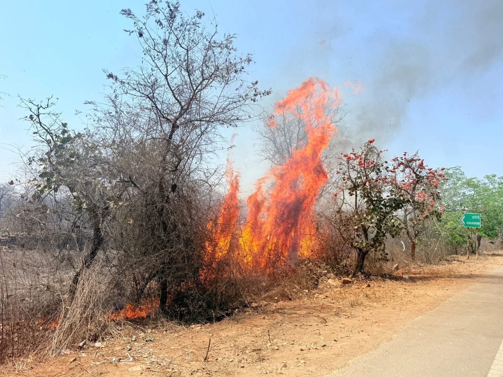 फोटो 26 सीकेटीपी 33 जंगल में धधकती आग। संवाद