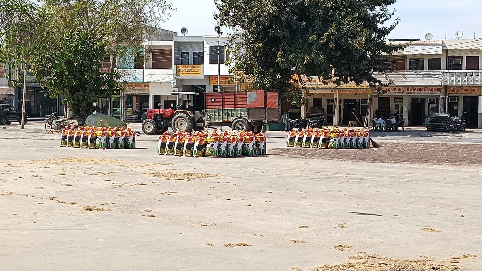 कैथल की अनाज मंडी की ओर जाने वाली खस्ताहाल मुख्य सड़क। संवाद कैथल की अनाज मंडी की ओर जाने वाली खस्ताहाल मुख्य सड़क। संवाद