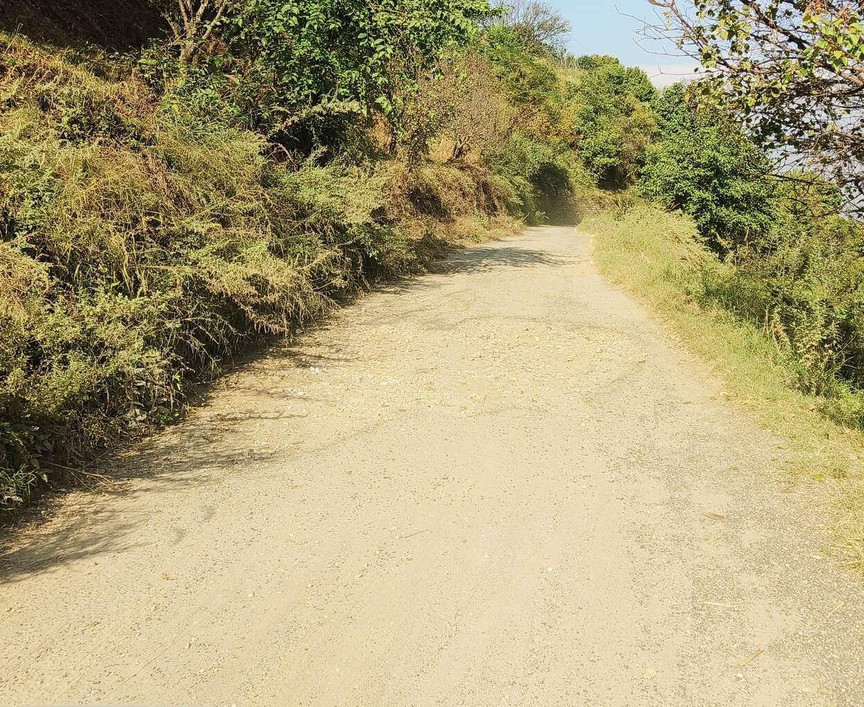 मशेली कैंची-कुमसू-करेरी सड़क पर गड्ढों की भरमार। संवाद