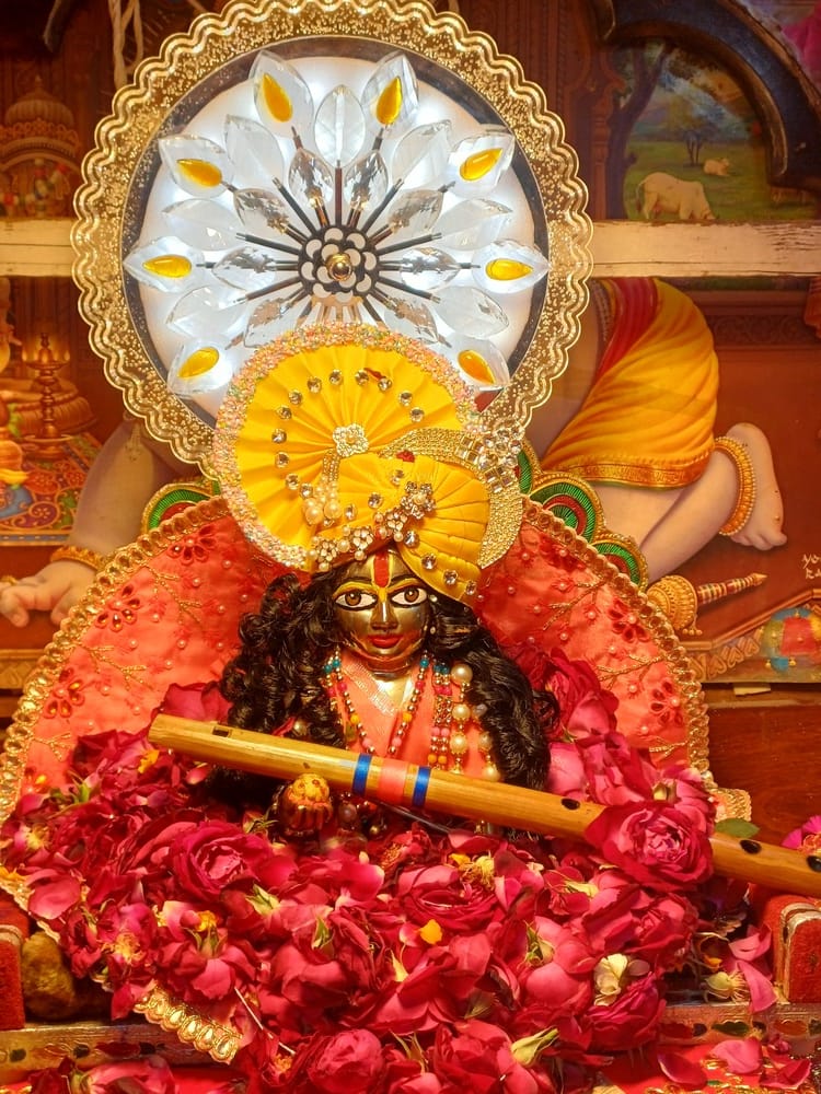 छावनी के हाथीखाना स्थित प्राचीन श्री कैलाश मंदिर से निकाली गई शोभायात्रा में हनुमान की झांकी। स छावनी के हाथीखाना स्थित प्राचीन श्री कैलाश मंदिर से निकाली गई शोभायात्रा में हनुमान की झांकी। स