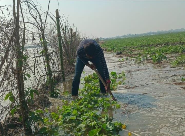 फोटो-10 तरबूज की फसल में पानी भरने से रोकने के लिए मेड़ बांधने का प्रयास करता किसान परिवार। स्र