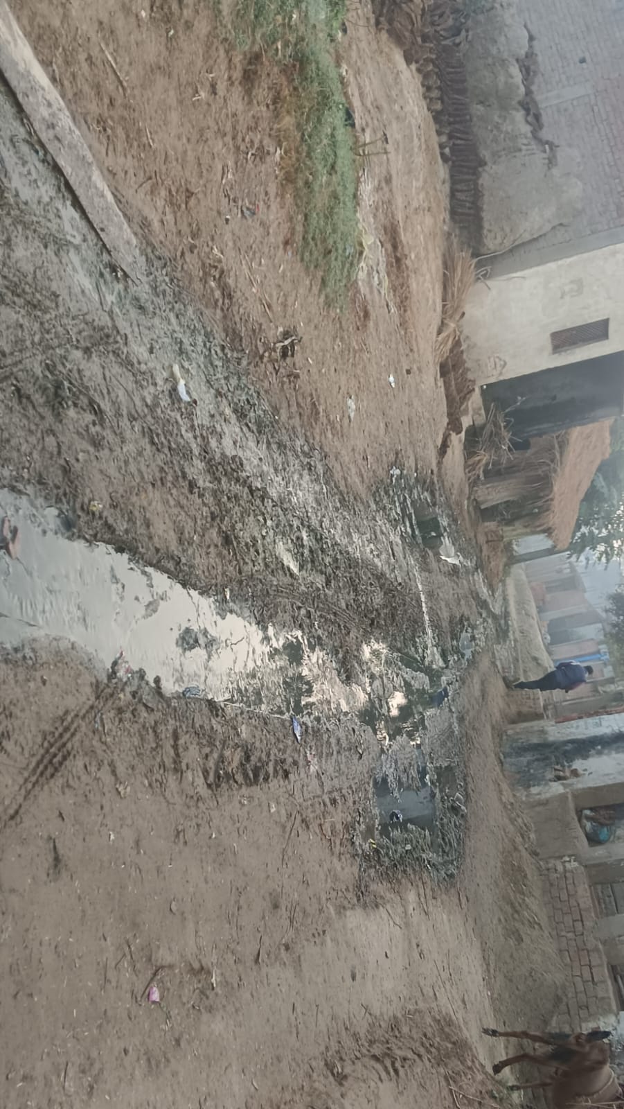 युवराज सिंह