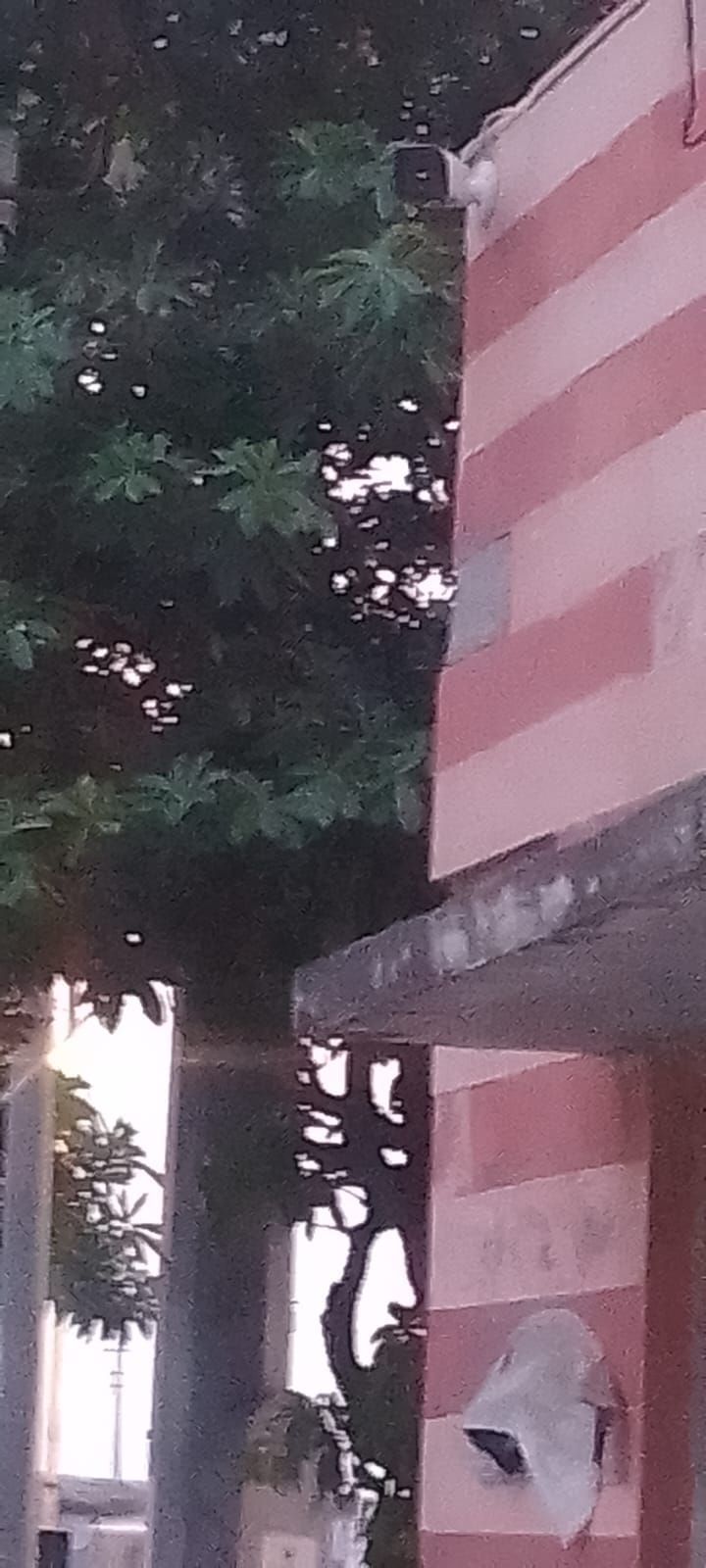 03 महम मंडी में बिकने के लिए आई सरसों संवाद 03 महम मंडी में बिकने के लिए आई सरसों संवाद