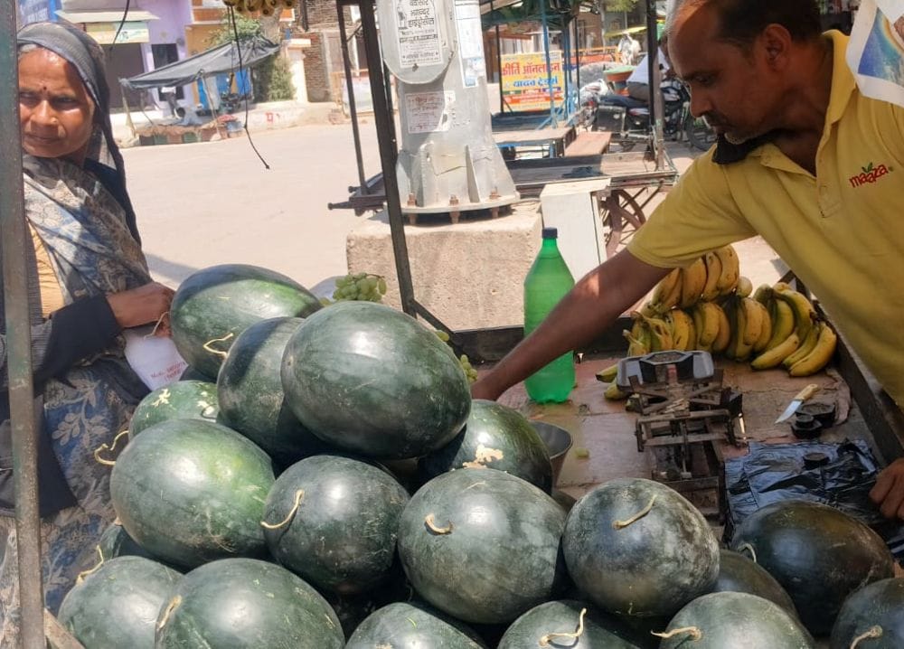 फोटो 27 एमएएचपी 27 परिचय-लाड़पुर स्थित खेत में किसान रामसेवक के खेत में लगे तरबूज की फसल को देख फोटो 27 एमएएचपी 27 परिचय-लाड़पुर स्थित खेत में किसान रामसेवक के खेत में लगे तरबूज की फसल को देख