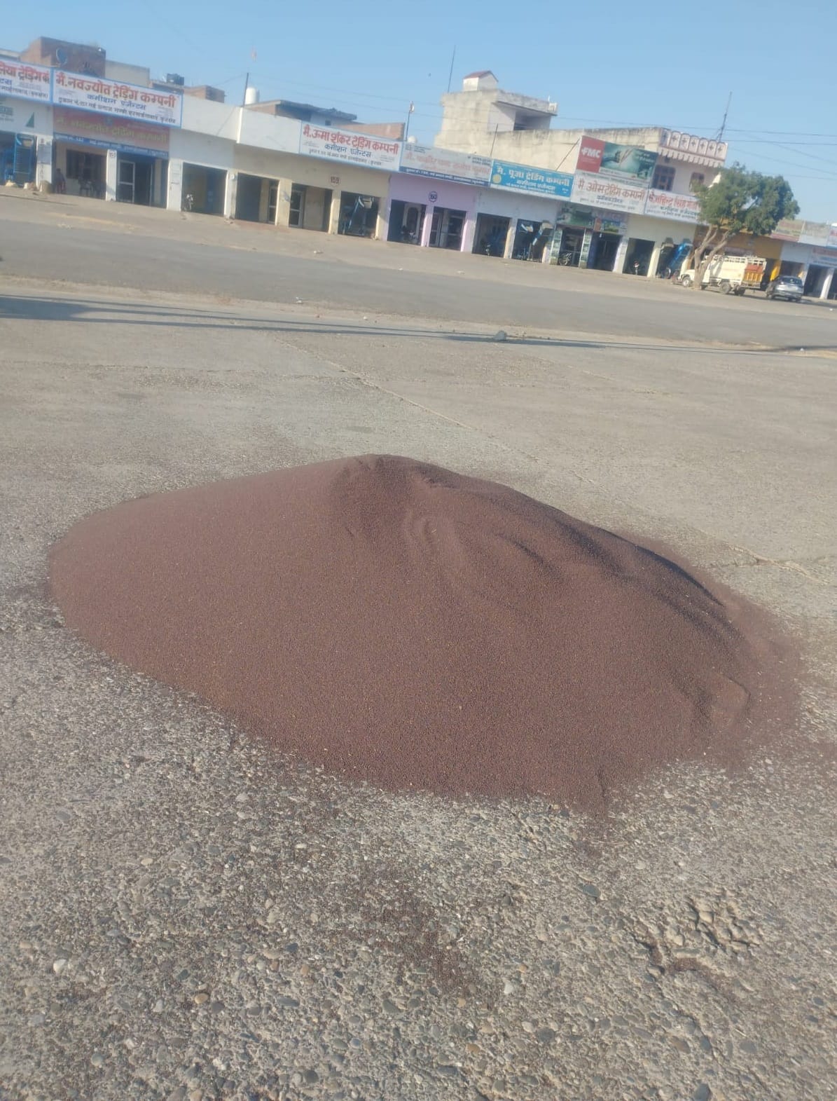 बाबैन। अनाजमंडी में लाई गई सरसों की फसल को सुखाते श्रमिक। संवाद 