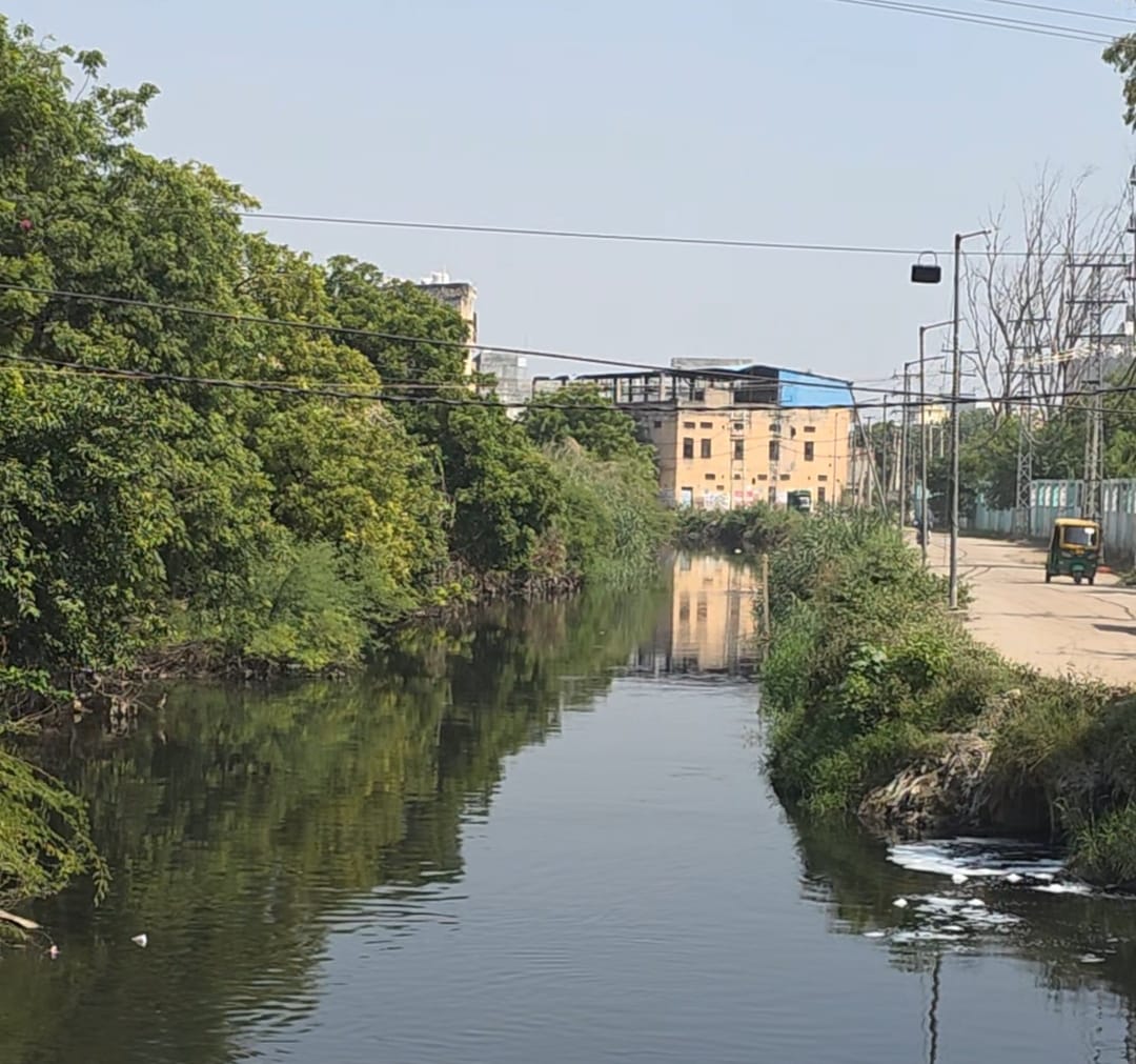 फोटो-65: बहादुरगढ़ के इस्कॉन मंदिर के पास बाक्स टाइप कलवर्ट पर बनाई गई तारकोल की सड़क। संवाद फोटो-65: बहादुरगढ़ के इस्कॉन मंदिर के पास बाक्स टाइप कलवर्ट पर बनाई गई तारकोल की सड़क। संवाद