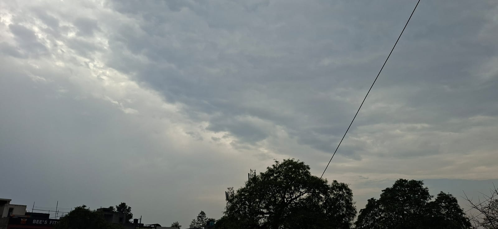 बारिश के साथ चली हवा से सरस्वतीनगर के खेत में गिरी गेहूं की फसल। संवाद बारिश के साथ चली हवा से सरस्वतीनगर के खेत में गिरी गेहूं की फसल। संवाद