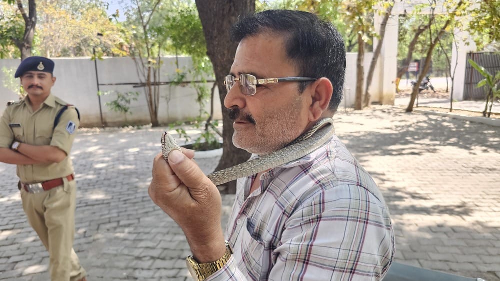 एसपी ऑफिस में घुसा ‘घोड़ा पछाड़’ सांप, प्रधान आरक्षक-ड्राइवर ने रिस्क लेकर किया रेस्क्यू। एसपी ऑफिस में घुसा ‘घोड़ा पछाड़’ सांप, प्रधान आरक्षक-ड्राइवर ने रिस्क लेकर किया रेस्क्यू।