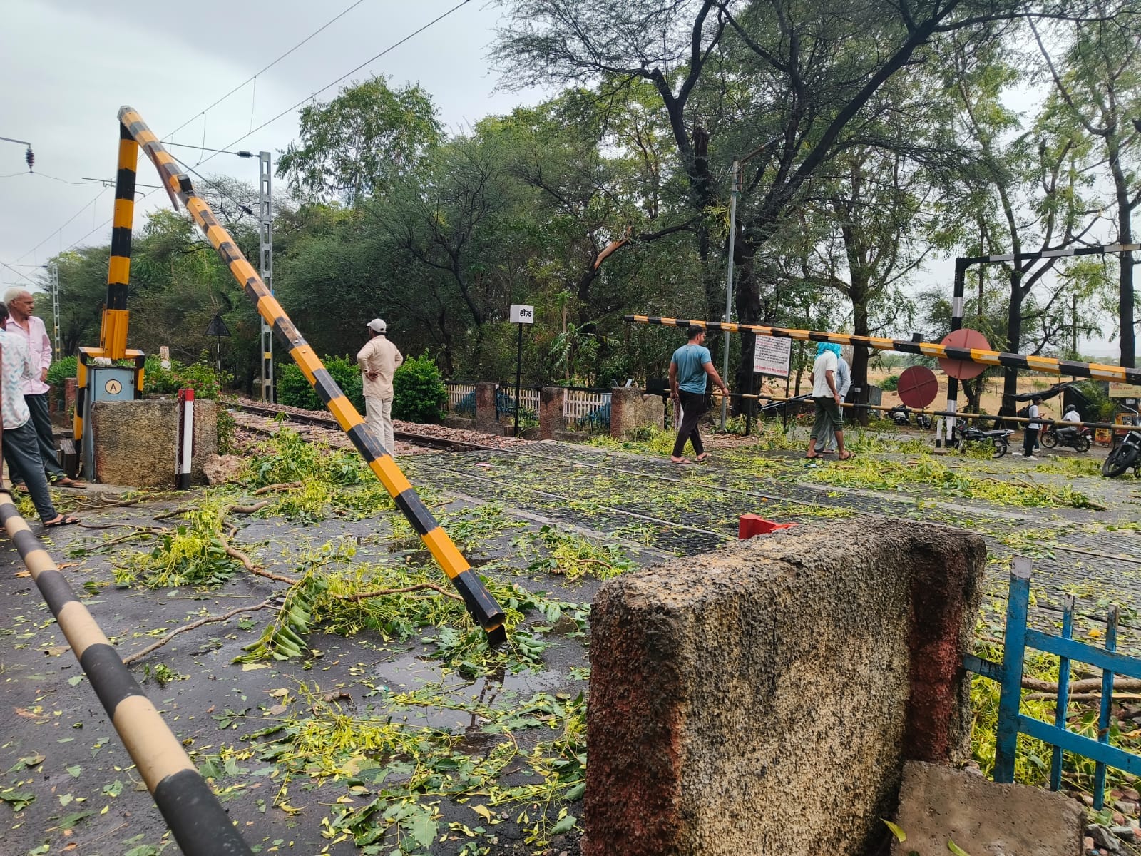 रेलवे ट्रेक पर गिरे पेड़। संवाद रेलवे ट्रेक पर गिरे पेड़। संवाद