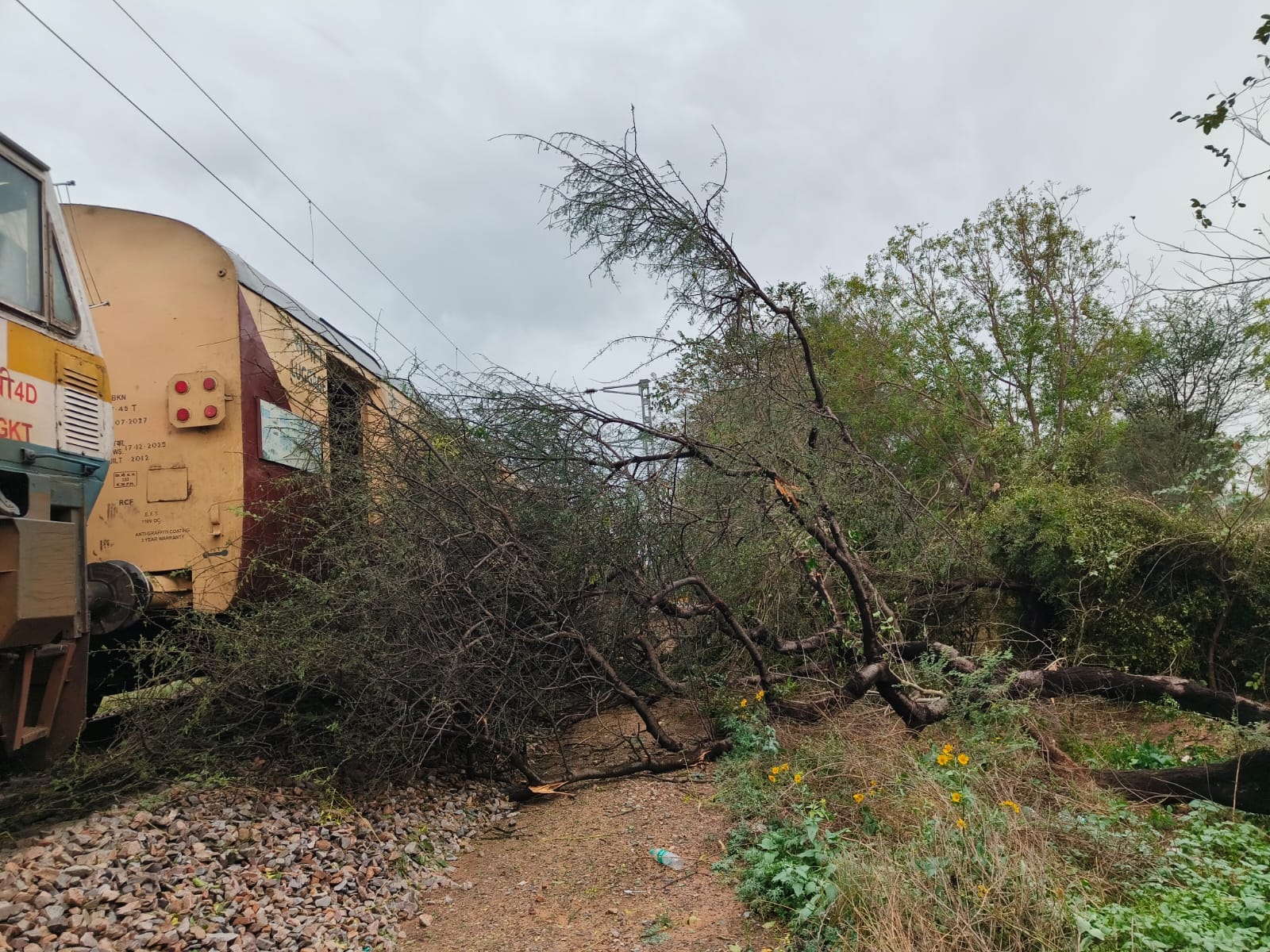 रेलवे ट्रेक पर गिरे पेड़। संवाद रेलवे ट्रेक पर गिरे पेड़। संवाद