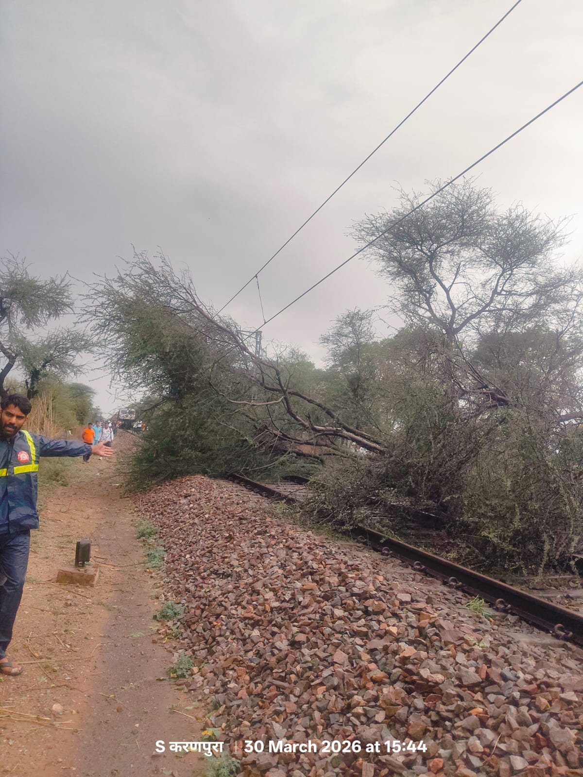 रेलवे ट्रेक पर गिरे पेड़। संवाद रेलवे ट्रेक पर गिरे पेड़। संवाद