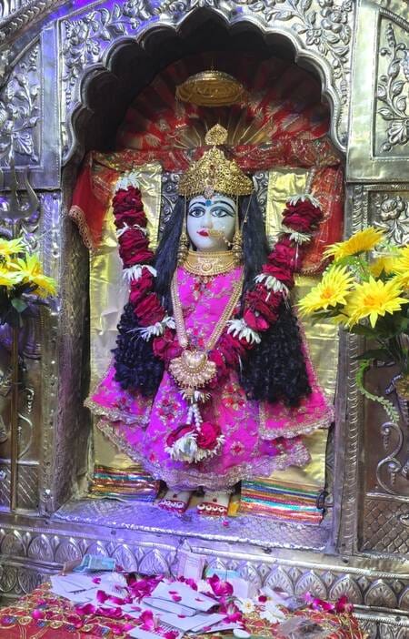 संदोहन देवी मंदिर में छह महीने बाद हुए मां के चरण दर्शन संदोहन देवी मंदिर में छह महीने बाद हुए मां के चरण दर्शन