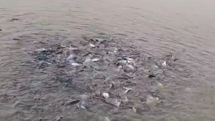 फोटो 30 एचएएमपी 05-महिला किसान रेखा प्रजापति। स्रोत: स्वयं फोटो 30 एचएएमपी 05-महिला किसान रेखा प्रजापति। स्रोत: स्वयं