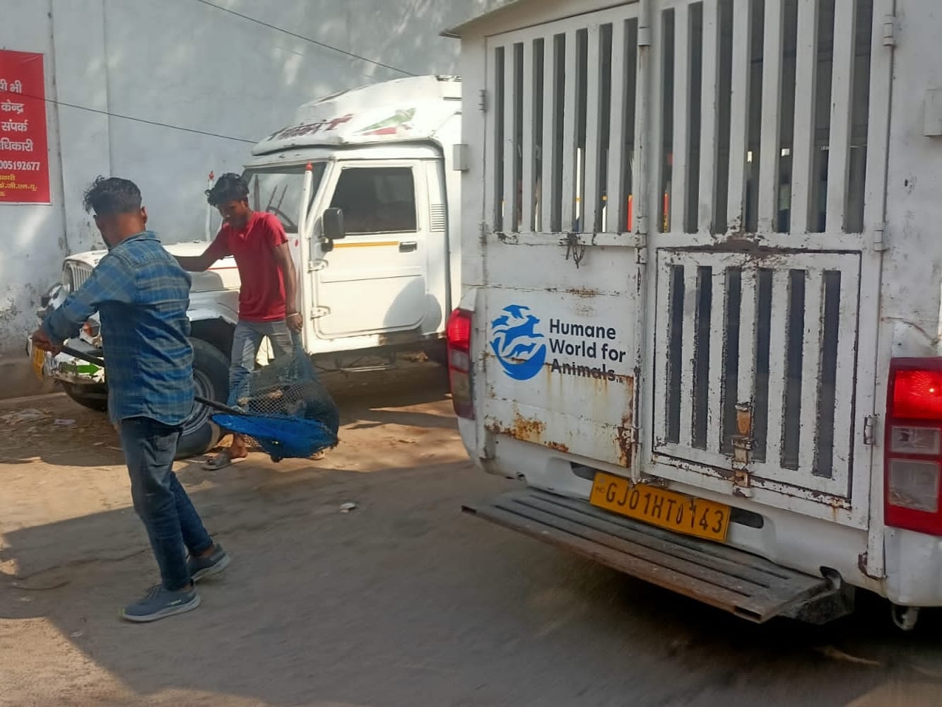 कुत्ते के हमले में जख्मी लोग और कुत्तों को पकड़ने पहुंची टीम। कुत्ते के हमले में जख्मी लोग और कुत्तों को पकड़ने पहुंची टीम।