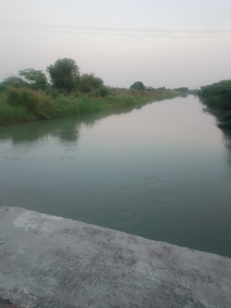 खुशबू देवी की फोटो नहर में कूदी खुशबू देवी की फोटो नहर में कूदी