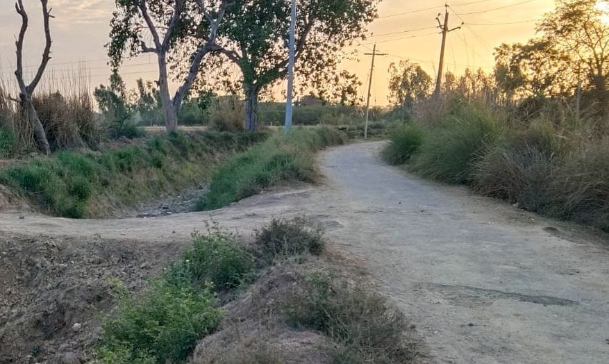 ओसा से बाजापुर मार्ग पर नहर कि पटरी बदहाल।  संवाद