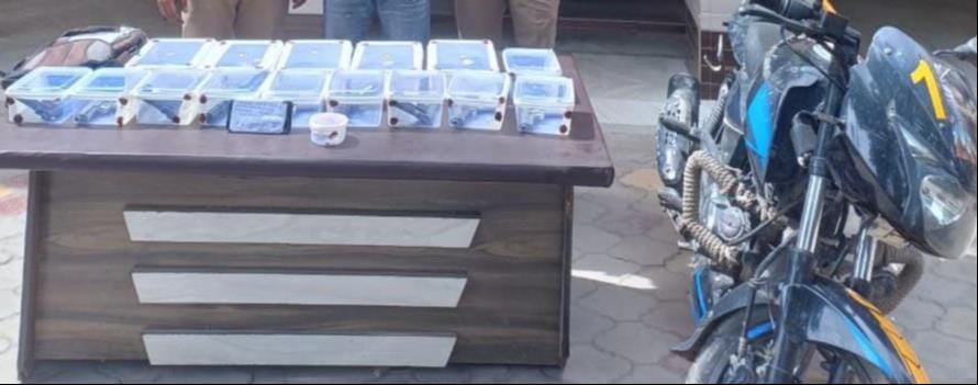 कैराना पुलिस द्वारा 10 पिस्टल और पांच तमंचे के साथ पकड़ा गया शोएब-पुलिस कैराना पुलिस द्वारा 10 पिस्टल और पांच तमंचे के साथ पकड़ा गया शोएब-पुलिस