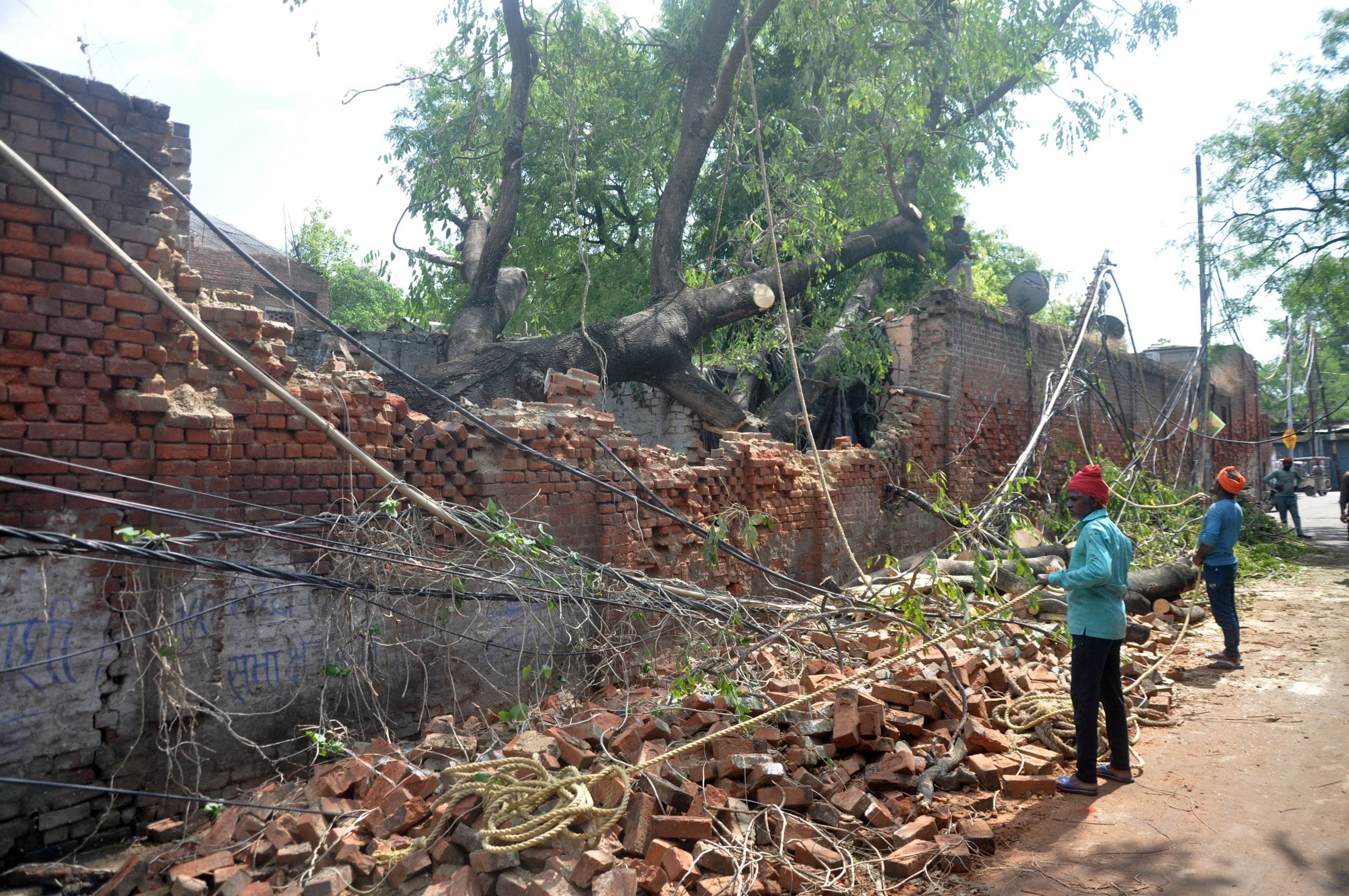 ऐशबाग पालीखेड़ा स्थित बोरी मिल परिसर में लगा 50 वर्ष पुराना पेड़ तेज आंधी के कारण झोपड़ी पर गिर 