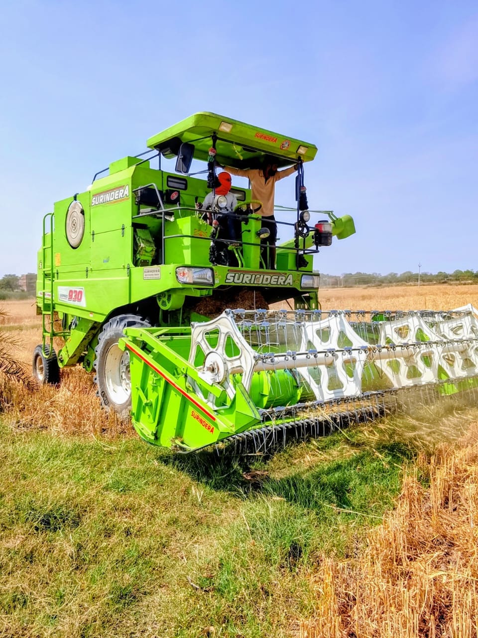 फोटो-28-खेतों में गेहूं के गट्ठर बांधते किसान। संवाद