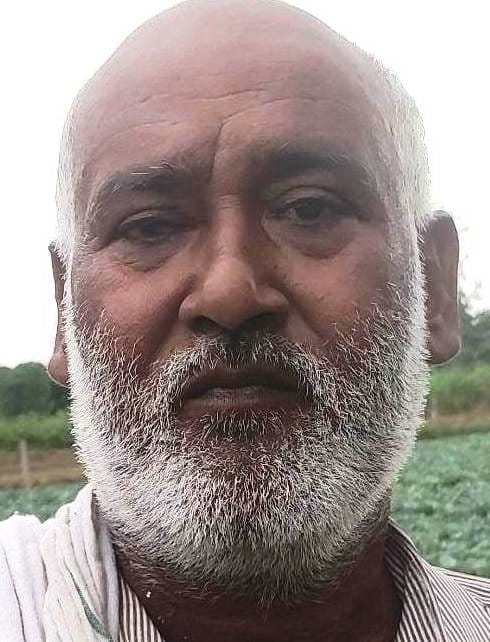 फोटो-28-खेतों में गेहूं के गट्ठर बांधते किसान। संवाद