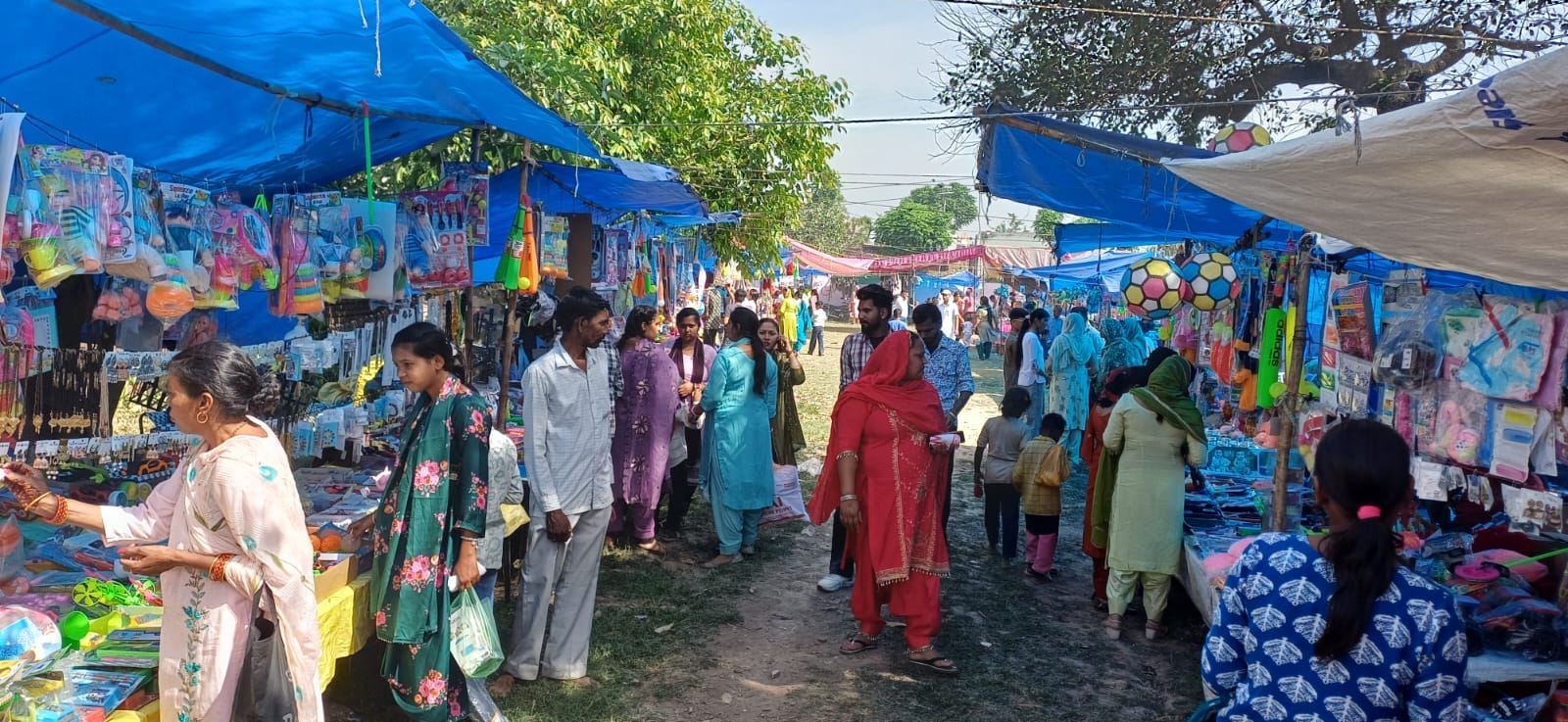 गांव सारन में आयोजित मेले में माथा टेकने के लिए कतार में खड़े श्रद्धालु। संवाद