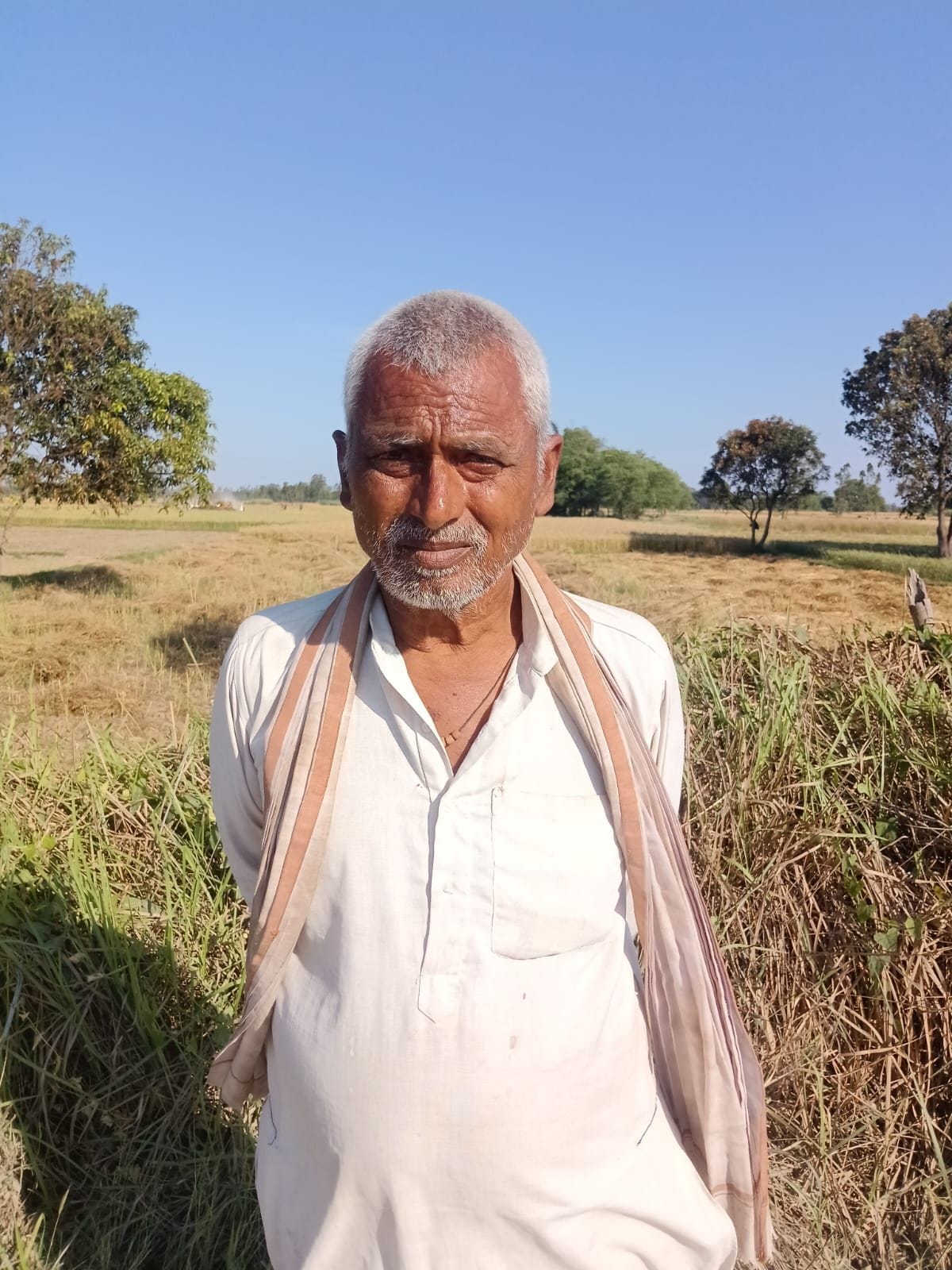 इकौना के महदेईया गांव में सरसो की मड़ाई करते किसान। इकौना के महदेईया गांव में सरसो की मड़ाई करते किसान।