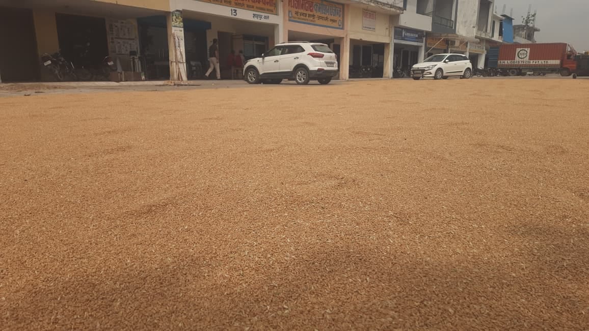 जगाधरी अनाज मंडी के कांटे पर तोलाई के लिए खड़ी ट्राली। संवाद जगाधरी अनाज मंडी के कांटे पर तोलाई के लिए खड़ी ट्राली। संवाद
