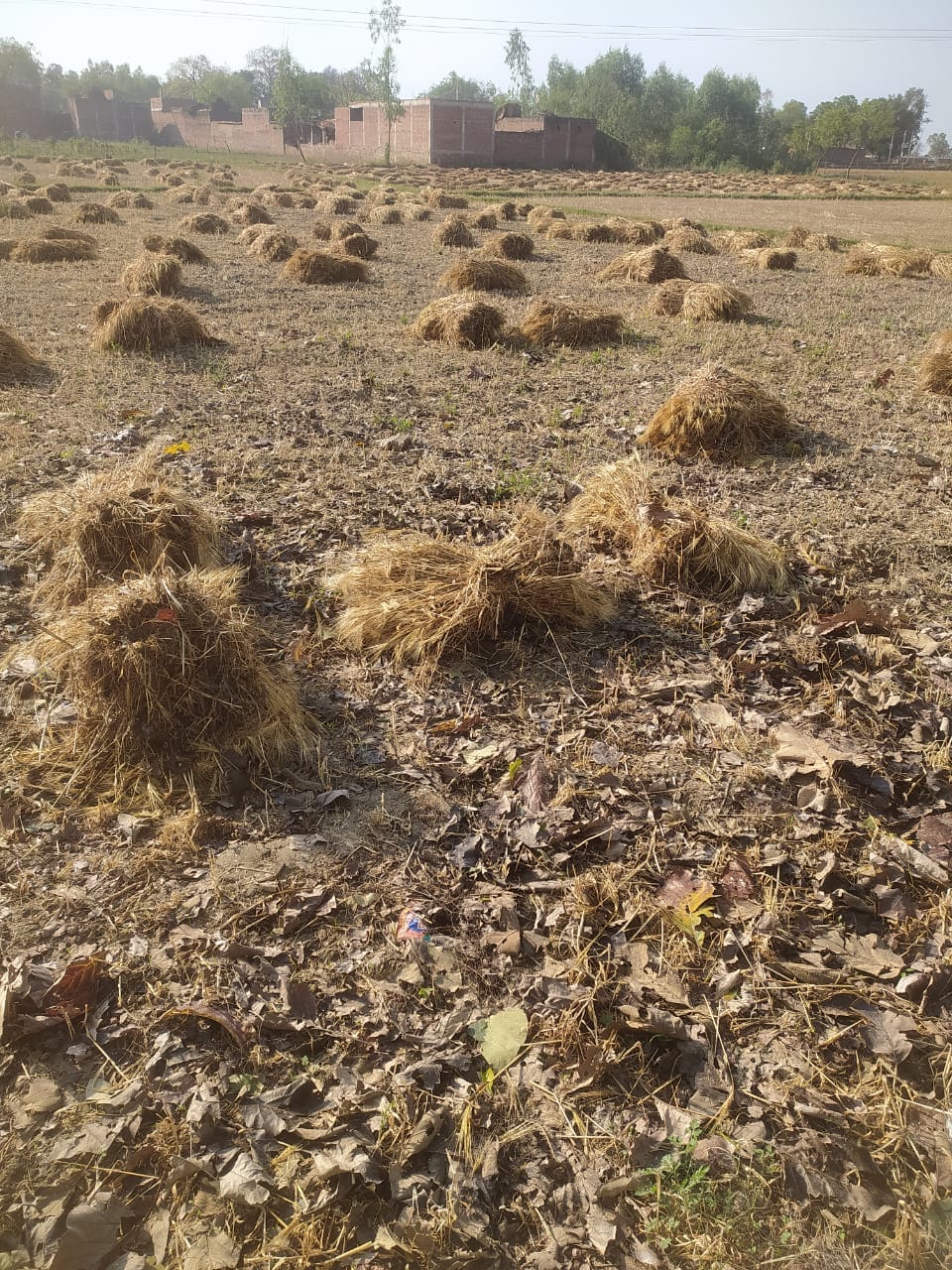 मन्ना सोनकर