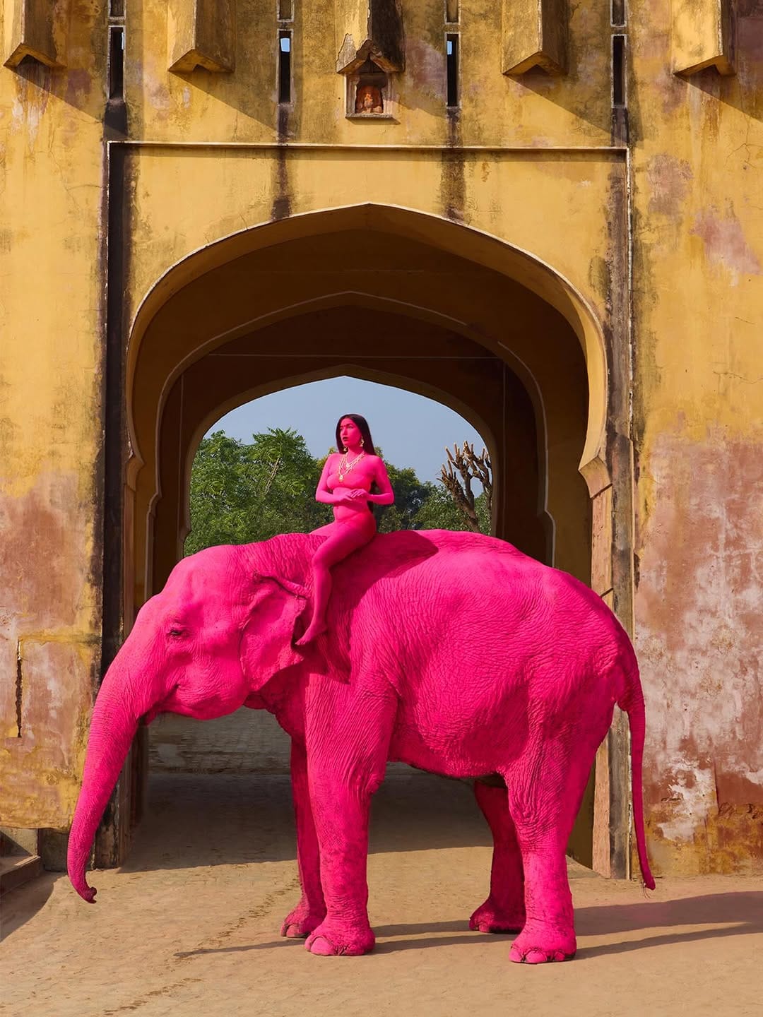 वायरल फोटोग्राफ, जिसमें हथनी, चंचल एवं मॉडल को पिंक कलर लगाया गया