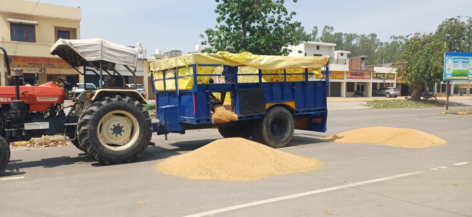 जगाधरी अनाज मंडी में तौलाई के लिए खड़ी ट्रैक्टर ट्राली। संवाद