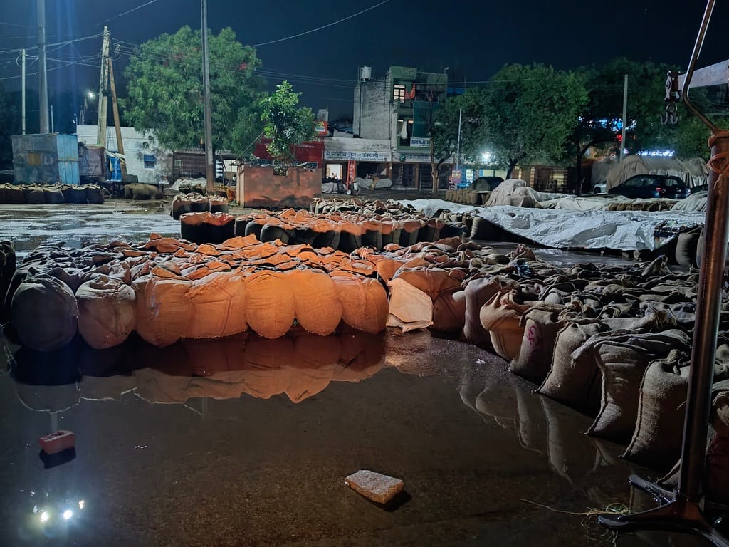 बारिश के बाद फसल बचाने में जुटे श्रमिक। संवाद