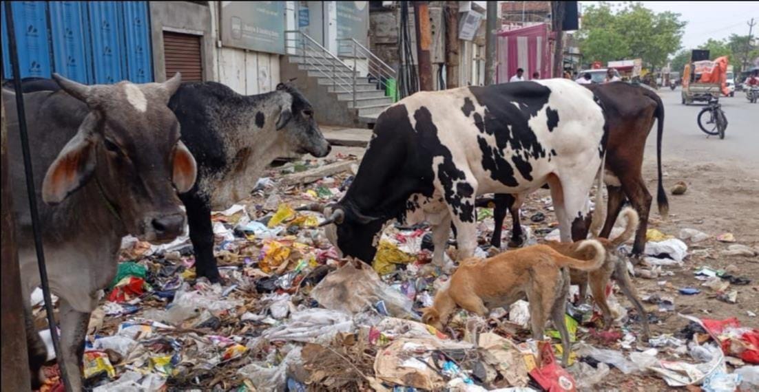 सांड के हमले से मृत जयंती प्रसाद तिवारी की फाइल फोटो। स्रोत-परिजन