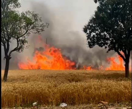 सिधारी थाना क्षेत्र के गेलवरा गांव में गेहूं के खेत में आग बुझाते अग्निशमनकर्मी। संवाद सिधारी थाना क्षेत्र के गेलवरा गांव में गेहूं के खेत में आग बुझाते अग्निशमनकर्मी। संवाद