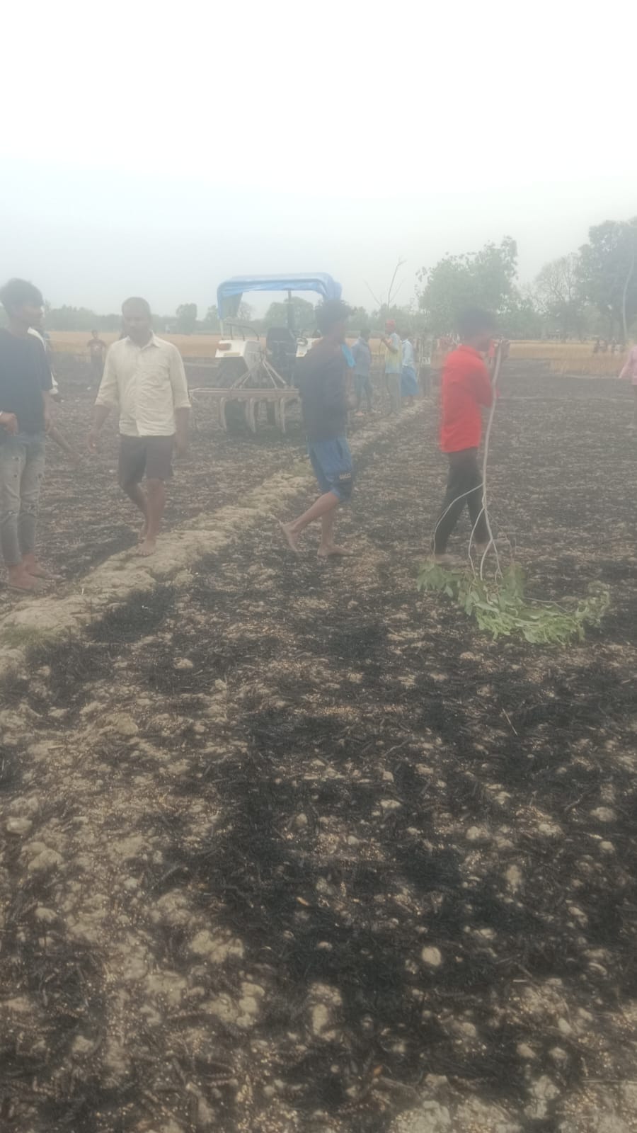 आग से जलकर राख हुई लोगों की फसलें। स्रोत: ग्रामीण आग से जलकर राख हुई लोगों की फसलें। स्रोत: ग्रामीण
